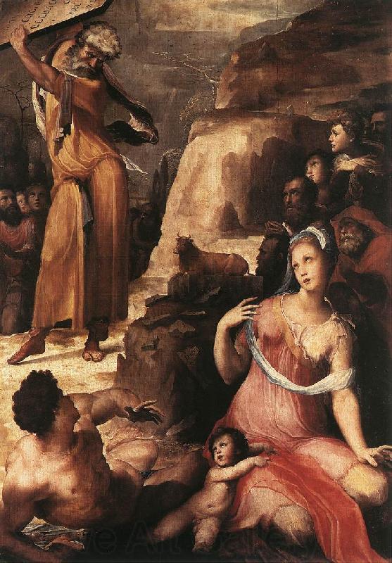 BECCAFUMI, Domenico Moses and the Golden Calf fgg Spain oil painting art
